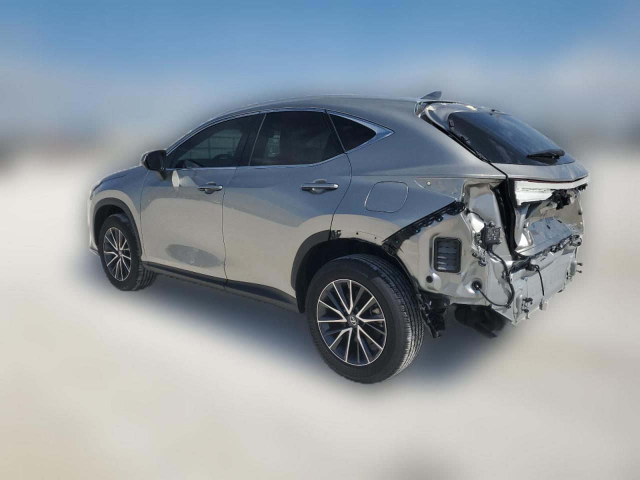 2024 LEXUS NX 250 BASE VIN:2T2ADCAZ5RC009007