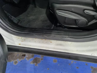 2021 Jeep Renegade 1C4NJCDB5MPM68352 VIN:1C4NJCDB5MPM68352