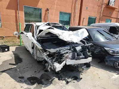 2021 Hyundai Santa FE KMHS381HGMU344096 VIN:KMHS381HGMU344096