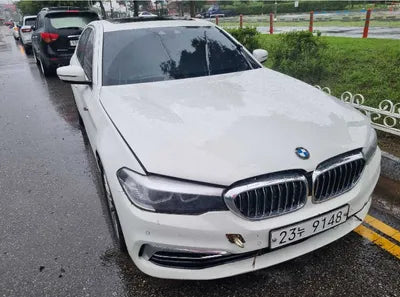 2019 BMW 520 WBAJK7107KGL29288 VIN:WBAJK7107KGL29288