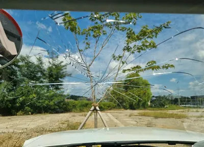 2017 Mercedes-Benz E 220 WDDZF0EBXHA179904 VIN:WDDZF0EBXHA179904