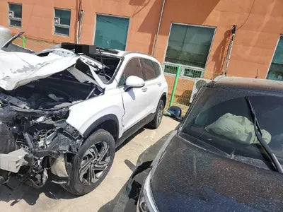 2021 Hyundai Santa FE KMHS381HGMU344096 VIN:KMHS381HGMU344096