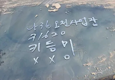 2022 BMW 520 WBA11BH08NWX60048 VIN:WBA11BH08NWX60048