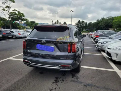 2021 Kia Sorento KNARM81BHMA053439 VIN:KNARM81BHMA053439