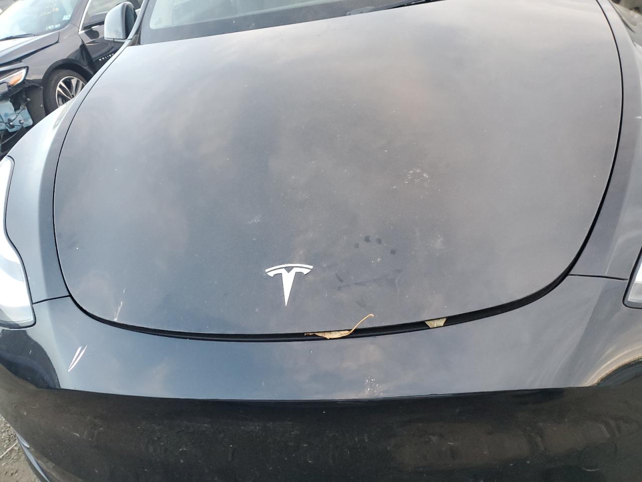 2023 TESLA MODEL Y  VIN:7SAYGDEE3PA077113