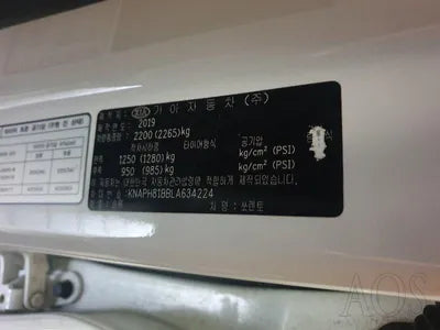 2020 Kia Sorento 741KMKNAPH81BBLA6 VIN:741KMKNAPH81BBLA6