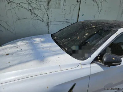 2018 Genesis G70 VIN: