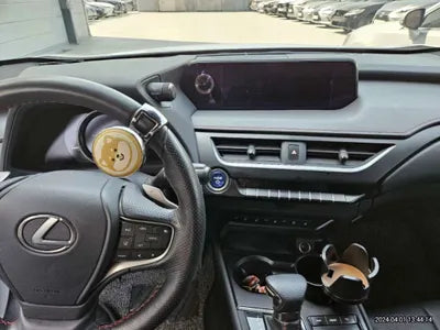 2020 Lexus UX 250 JTHR6JBH5L2068428 VIN:JTHR6JBH5L2068428