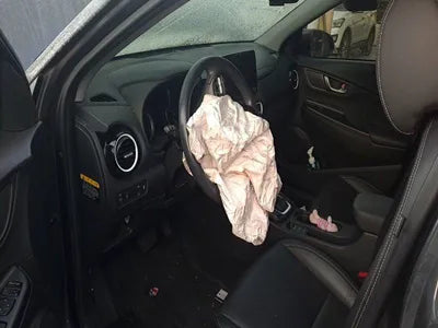 2020 Hyundai Kona KMHK381EGLU009425 VIN:KMHK381EGLU009425