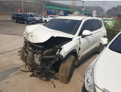 2019 Hyundai Santa FE KMHS281BDKU136900 VIN:KMHS281BDKU136900