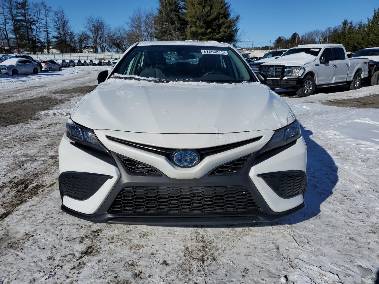 2024 TOYOTA CAMRY SE NIGHT SHADE VIN:4T1G31AK8RU060427