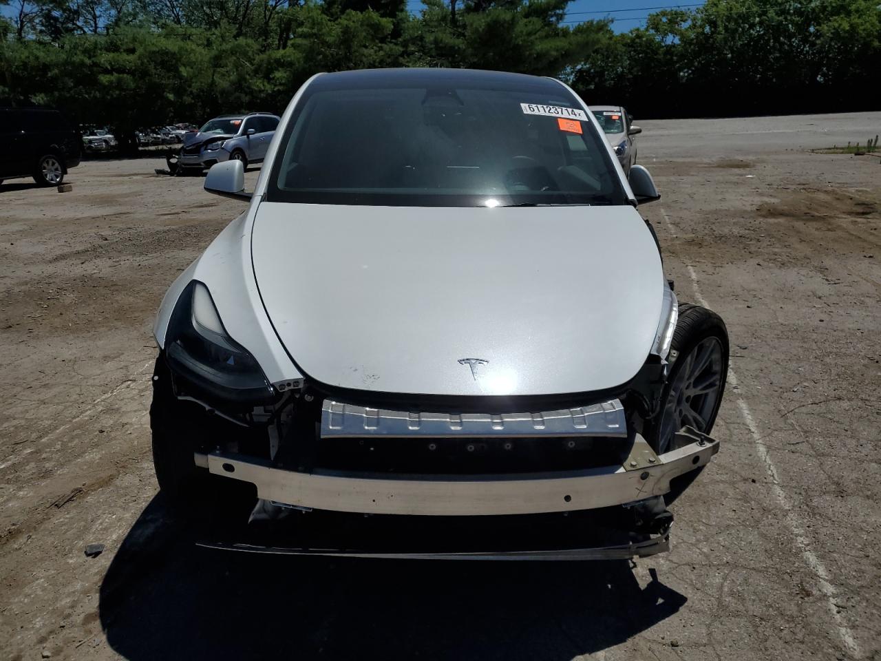 2023 TESLA MODEL Y  VIN:7SAYGDEE8PF669206