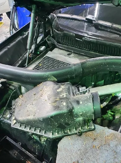 2021 BMW 530 WBAJU8101M9E86180 VIN:WBAJU8101M9E86180