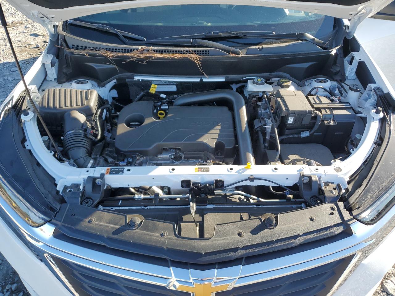 2024 CHEVROLET EQUINOX LS VIN:3GNAXHEG7RL329242