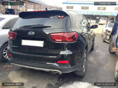 2019 Kia Sorento KNAPS81ABLA607211 VIN:KNAPS81ABLA607211