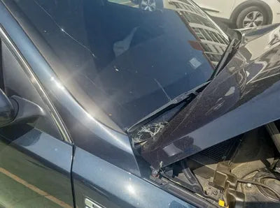 2019 Kia K5 KNAGU411BKA323614 VIN:KNAGU411BKA323614