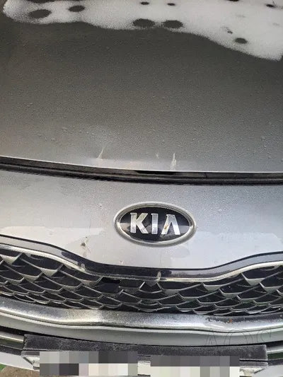 2019 Kia Sportage VIN: