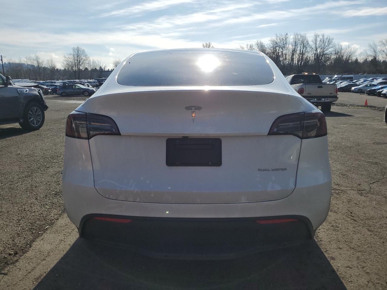 2023 TESLA MODEL Y  VIN:7SAYGDEE5PF831826