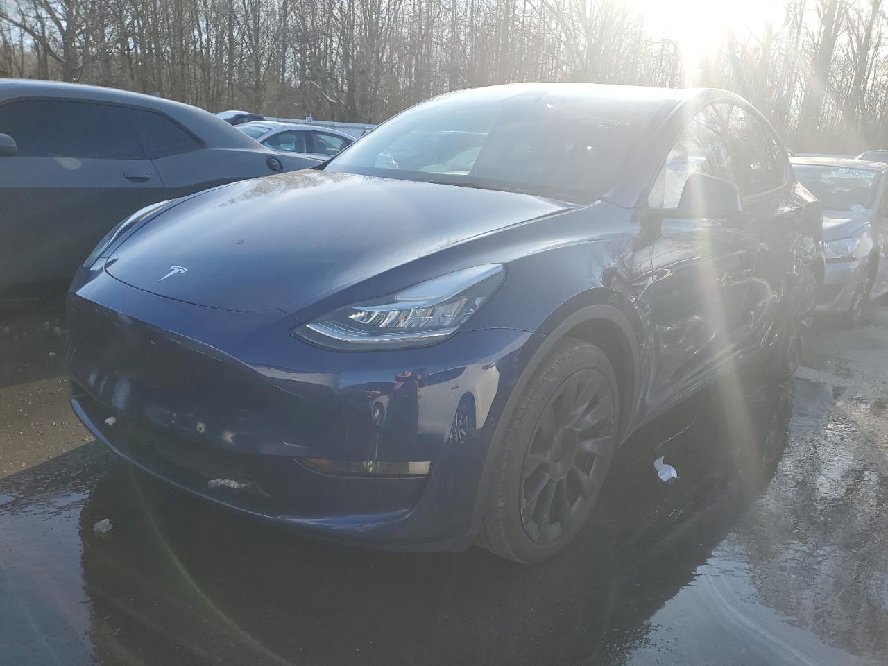 2022 TESLA MODEL Y  VIN:7SAYGDEE1NF420243