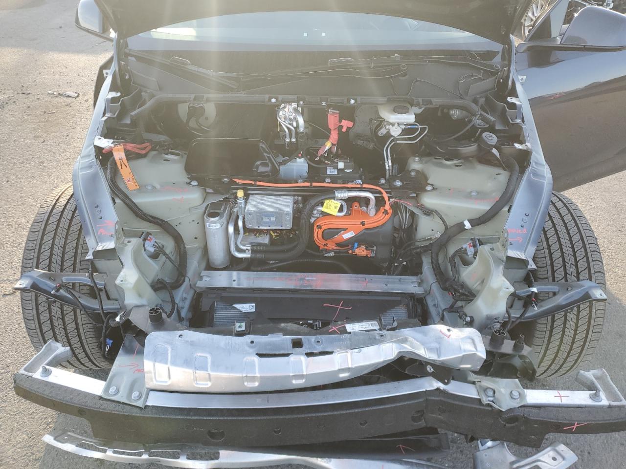 2024 TESLA MODEL Y  VIN:7SAYGDED7RF206693