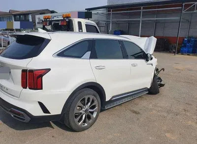 2020 Kia Sorento KNARK81BGMA038540 VIN:KNARK81BGMA038540