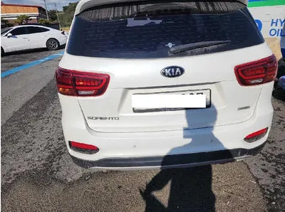 2019 Kia Sorento 130KMKNAPK81BBKA5 VIN:130KMKNAPK81BBKA5