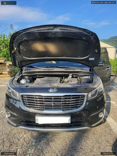 2017 Kia Carnival KNAME81ABJS390079 VIN:KNAME81ABJS390079