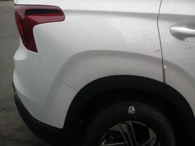 2021 Hyundai Santa FE KMHS381HGMU336284 VIN:KMHS381HGMU336284