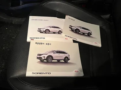 2020 Kia Sorento KNAPS81ABLA621119 VIN:KNAPS81ABLA621119