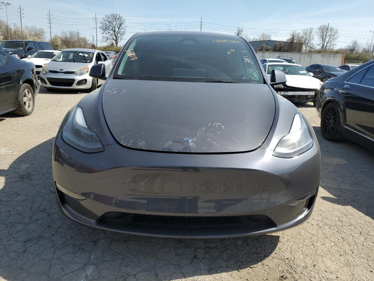 2023 TESLA MODEL Y  VIN:7SAYGDEF7PF938448