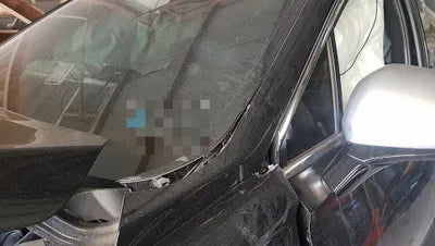 2019 Hyundai Santa FE KMHS581ADKU164894 VIN:KMHS581ADKU164894