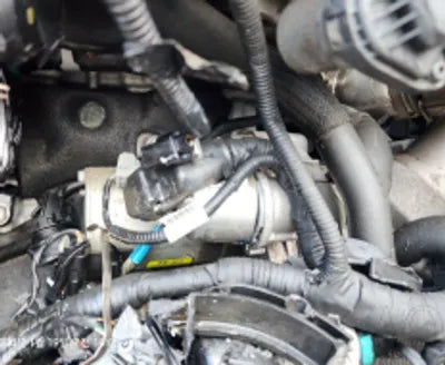 2021 Hyundai Santa FE KMHS281HGMU323267 VIN:KMHS281HGMU323267