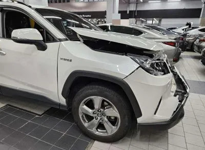 2019 Toyota RAV4 VIN: