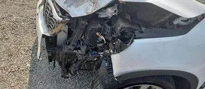 2019 Kia Sorento KNAPS81BBLA564800 VIN:KNAPS81BBLA564800