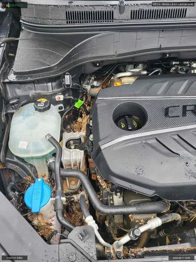 2019 Hyundai Kona KMHK2817GLU500577 VIN:KMHK2817GLU500577