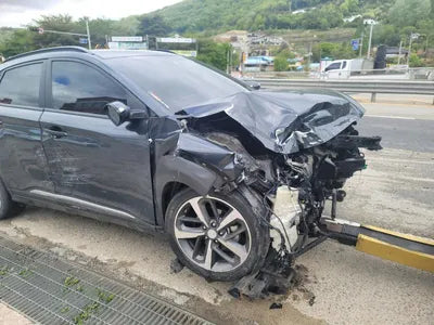 2017 Hyundai Kona KMHK3816GJU006015 VIN:KMHK3816GJU006015