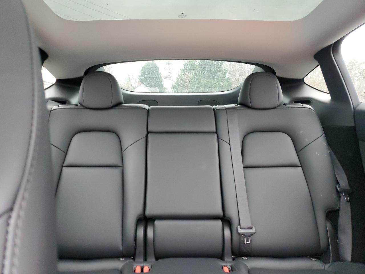 2023 TESLA MODEL Y  VIN:7SAYGDEE3PA157818