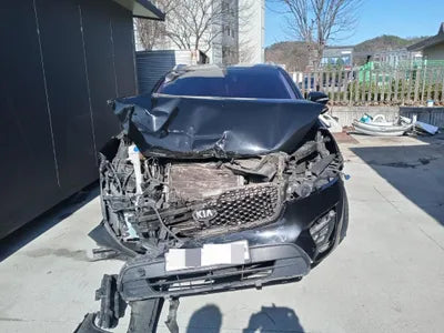 2016 Kia Sorento KNAPH81ABGA189463 VIN:KNAPH81ABGA189463