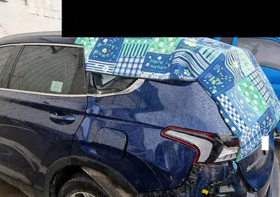 2019 Hyundai Santa FE KMHS281BDKU149001 VIN:KMHS281BDKU149001