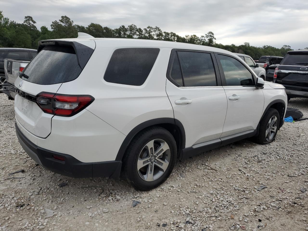 2023 HONDA PILOT EXL VIN:5FNYG2H55PB006348