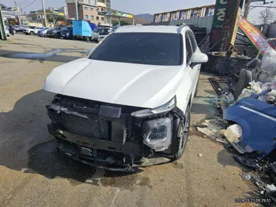 2019 Hyundai Santa FE KMHS381CBKU011363 VIN:KMHS381CBKU011363