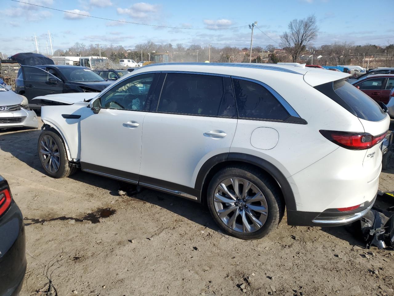 2024 MAZDA CX-90 PREMIUM PLUS VIN:JM3KKEHD8R1101289