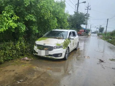 2016 Kia Carnival 334KMKNAMB81ABGS2 VIN:334KMKNAMB81ABGS2