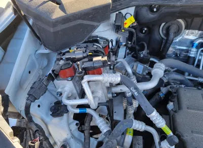 2019 Hyundai Kona KMHK381GFKU056455 VIN:KMHK381GFKU056455