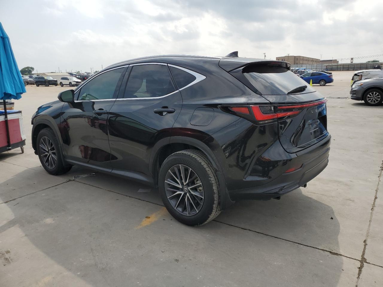 2024 LEXUS NX 250 PREMIUM VIN:2T2GDCAZ9RC008193