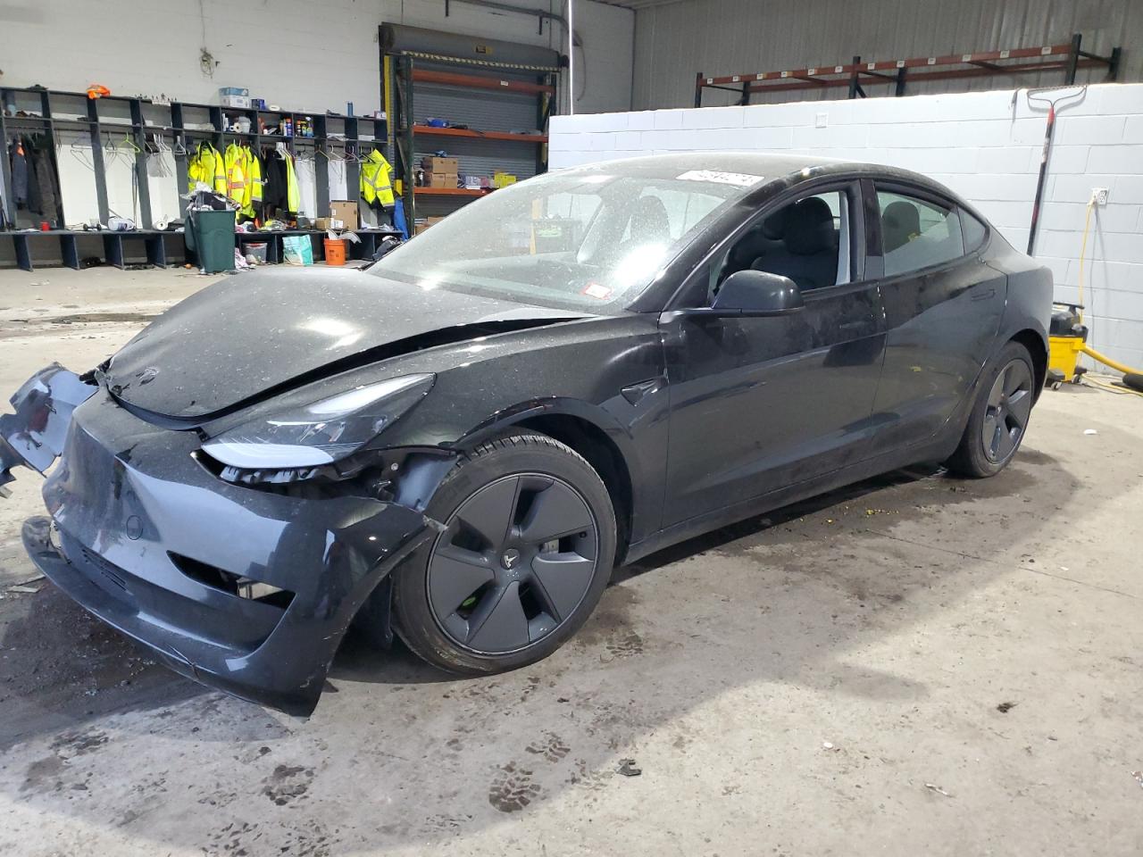 2023 TESLA MODEL 3  VIN:5YJ3E1EBXPF591769