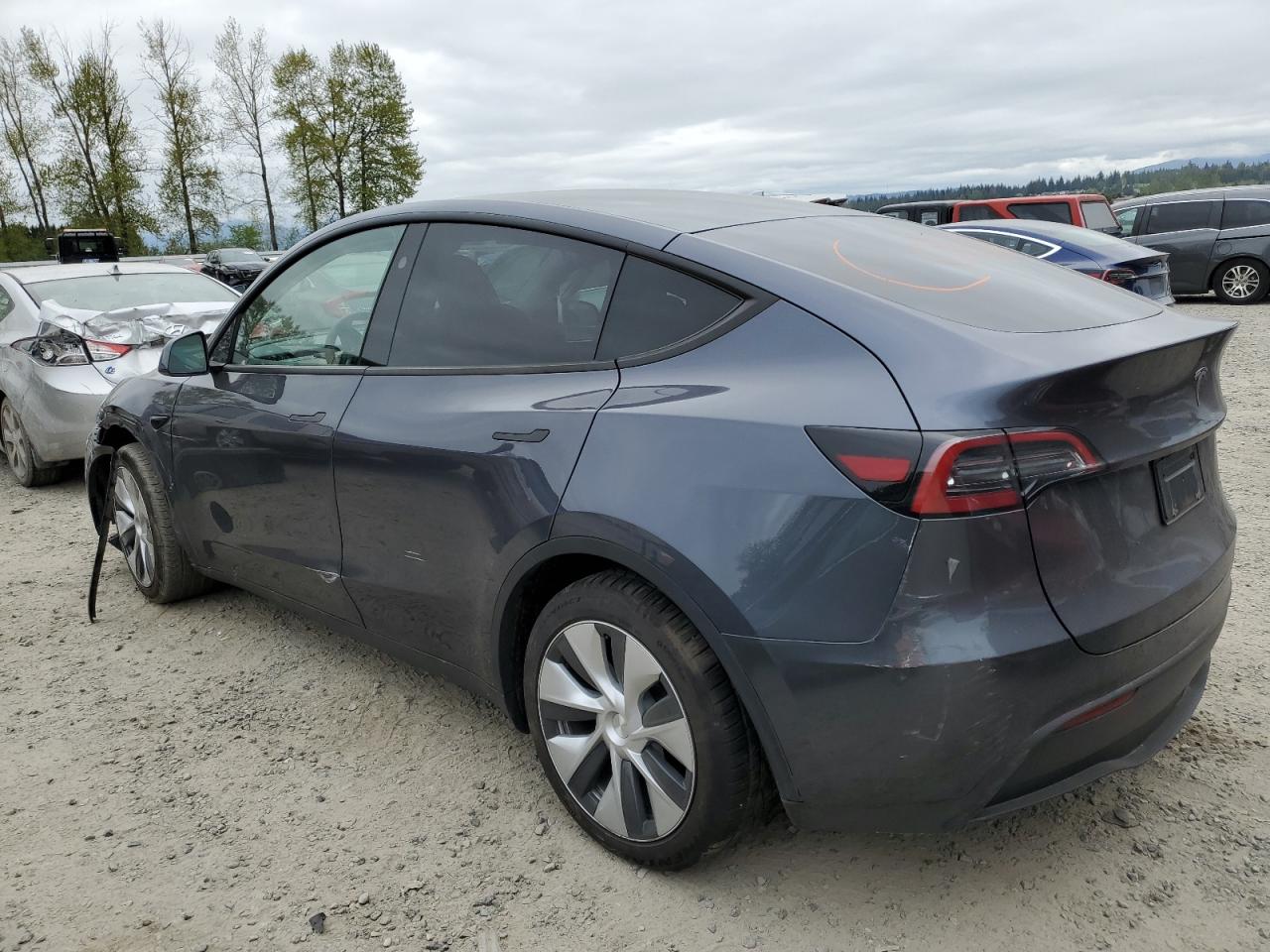 2023 TESLA MODEL Y  VIN:7SAYGDEE0PF794913