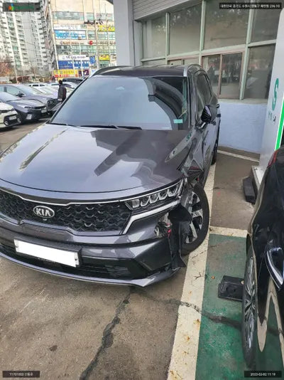 2020 Kia Sorento KNARH81BGMA035621 VIN:KNARH81BGMA035621