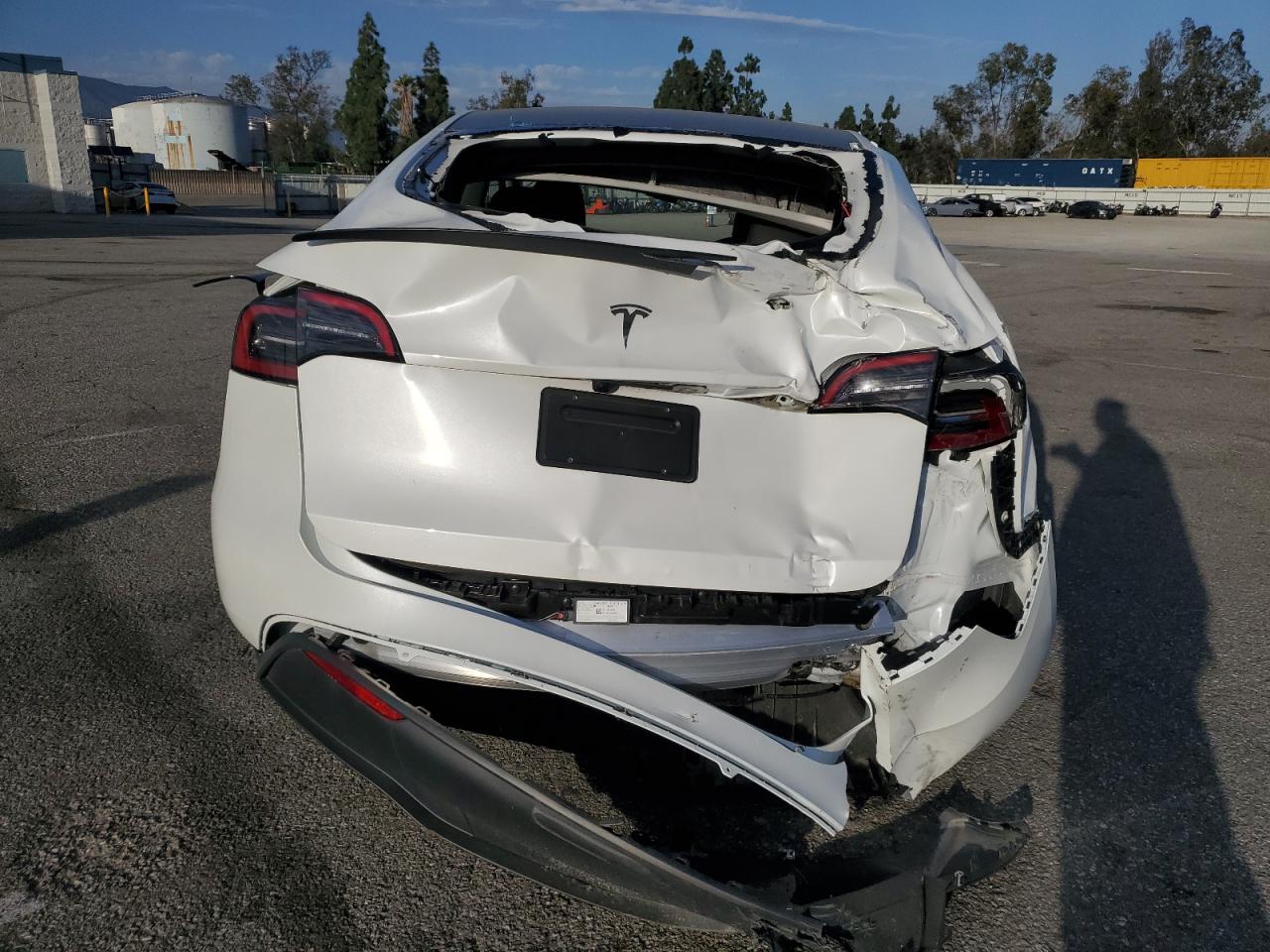 2024 TESLA MODEL Y VIN:7SAYGDED6RF110635