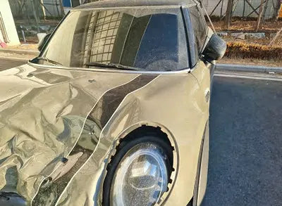 2020 MINI Cooper WMWXR7100L2L85822 VIN:WMWXR7100L2L85822